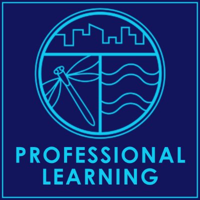 Blue background with Groundswell logo and the words "professional learning"